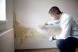 Mold Remediation for Vacation Homes in Suffield Depot, CT